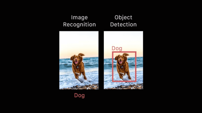 Image recognition vs object detection